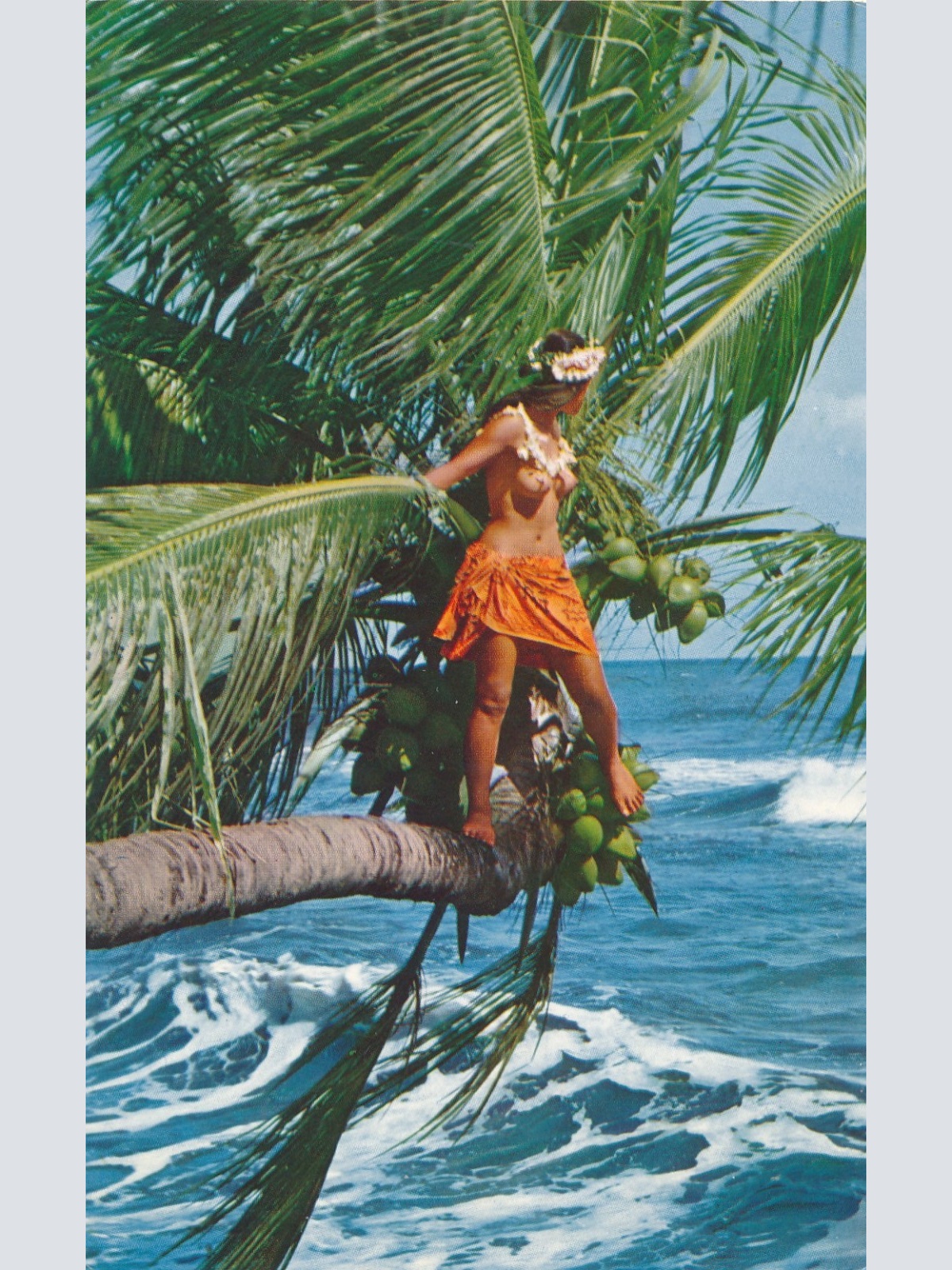 AK Annodazumals nackte Hawaianerin Busen Erotik Ansichtskarte (15748)