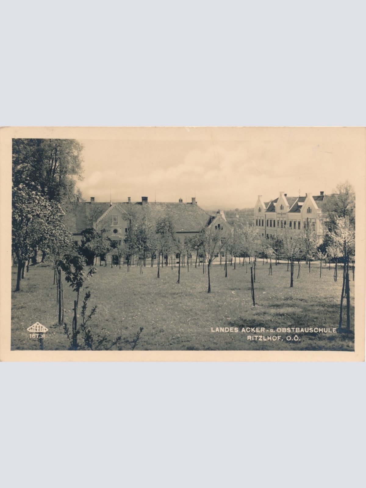 AK Acker und Obstbauschule Ritzelhof Oberösterreich Ansichtskarte (15261)