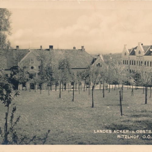 AK Acker und Obstbauschule Ritzelhof Oberösterreich Ansichtskarte (15261)