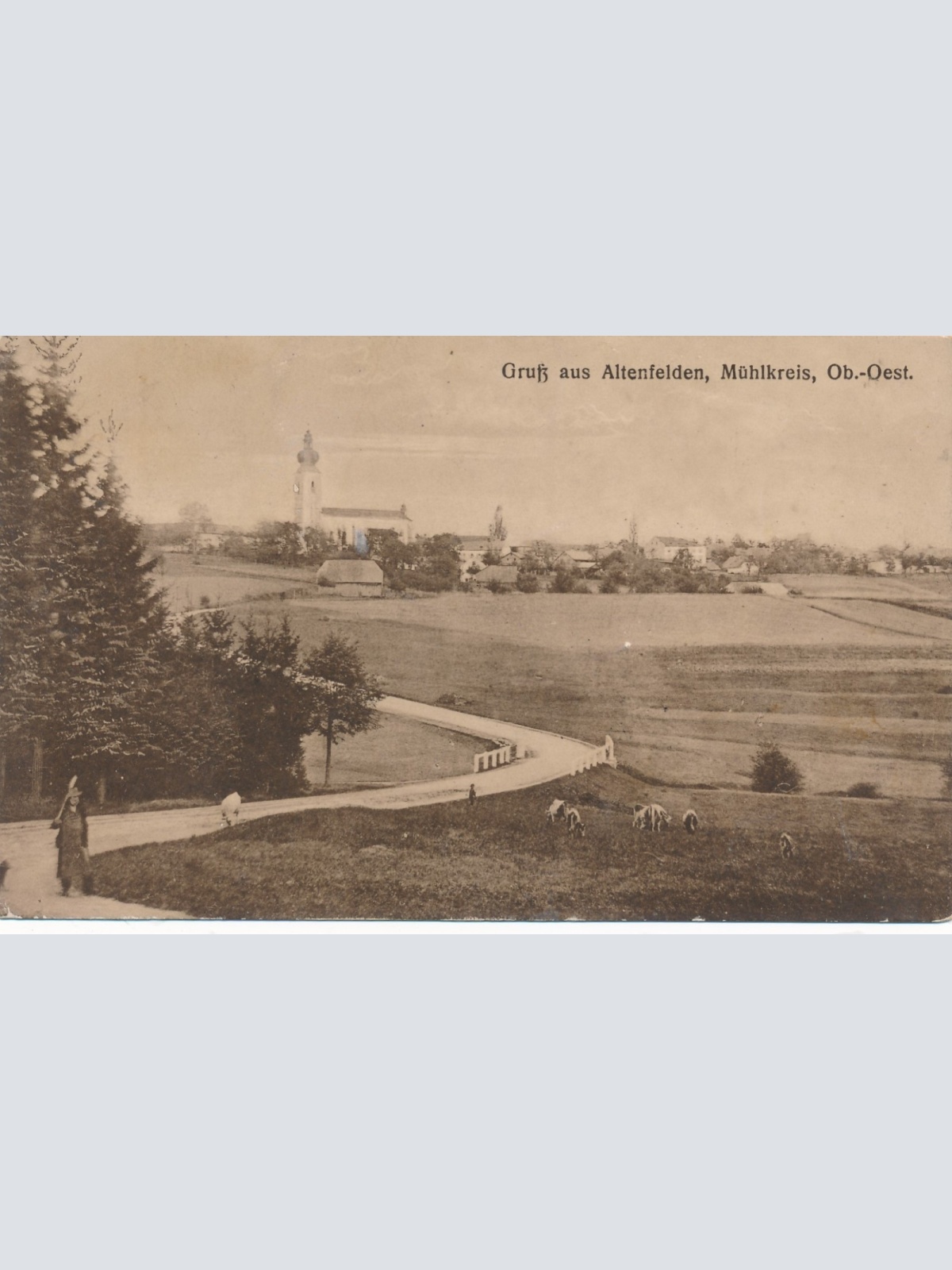 AK aus Gruß aus Altenfelden Oberösterreich Ansichtskarte (15236)