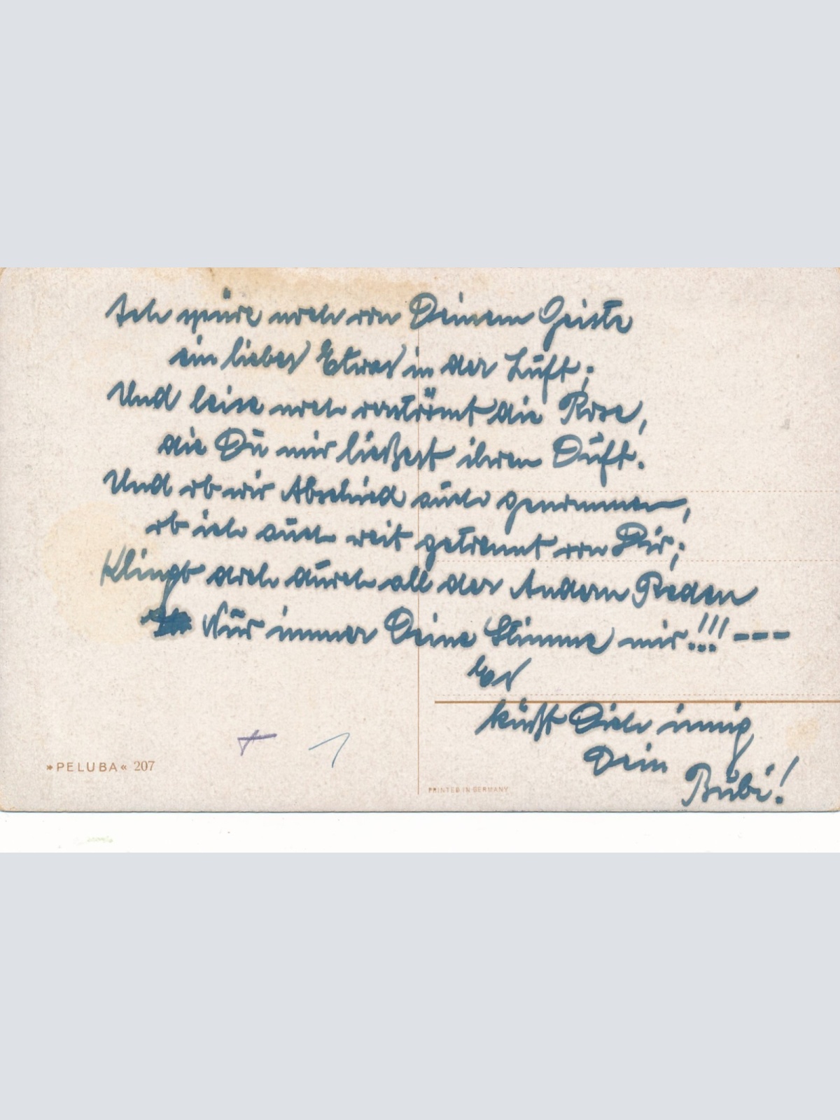 AK zwei Schäferhunde einer mit Knochen Ansichtskarte (15710)