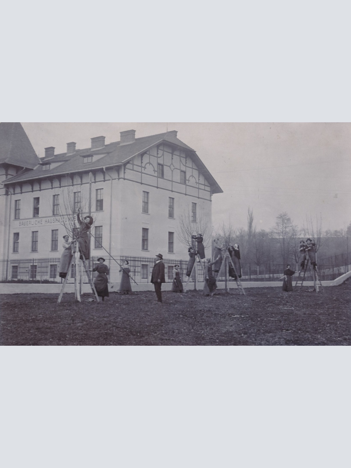 AK aus Otterbach am Inn Baumpflege Bäuerl. Haushaltungs. Ansichtskarte (15187)