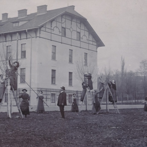 AK aus Otterbach am Inn Baumpflege Bäuerl. Haushaltungs. Ansichtskarte (15187)