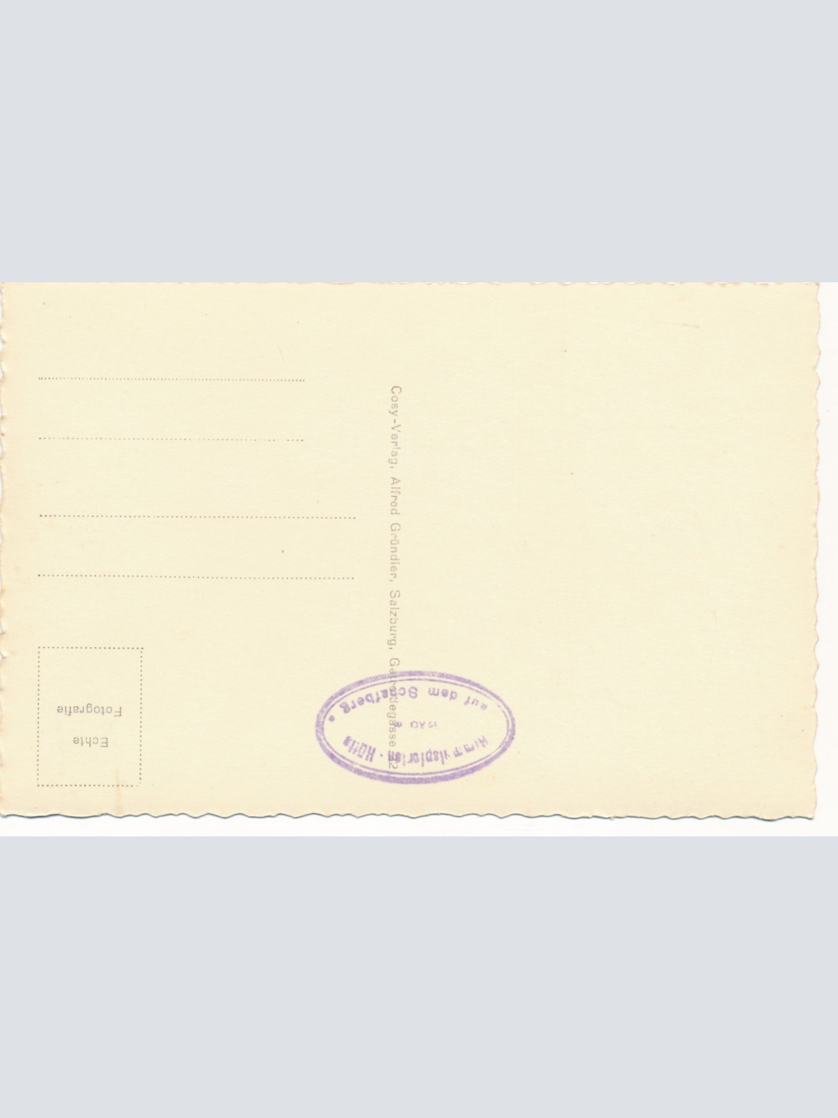 AK von der Schafbergspitze Oberösterreich Ansichtskarte (15511)