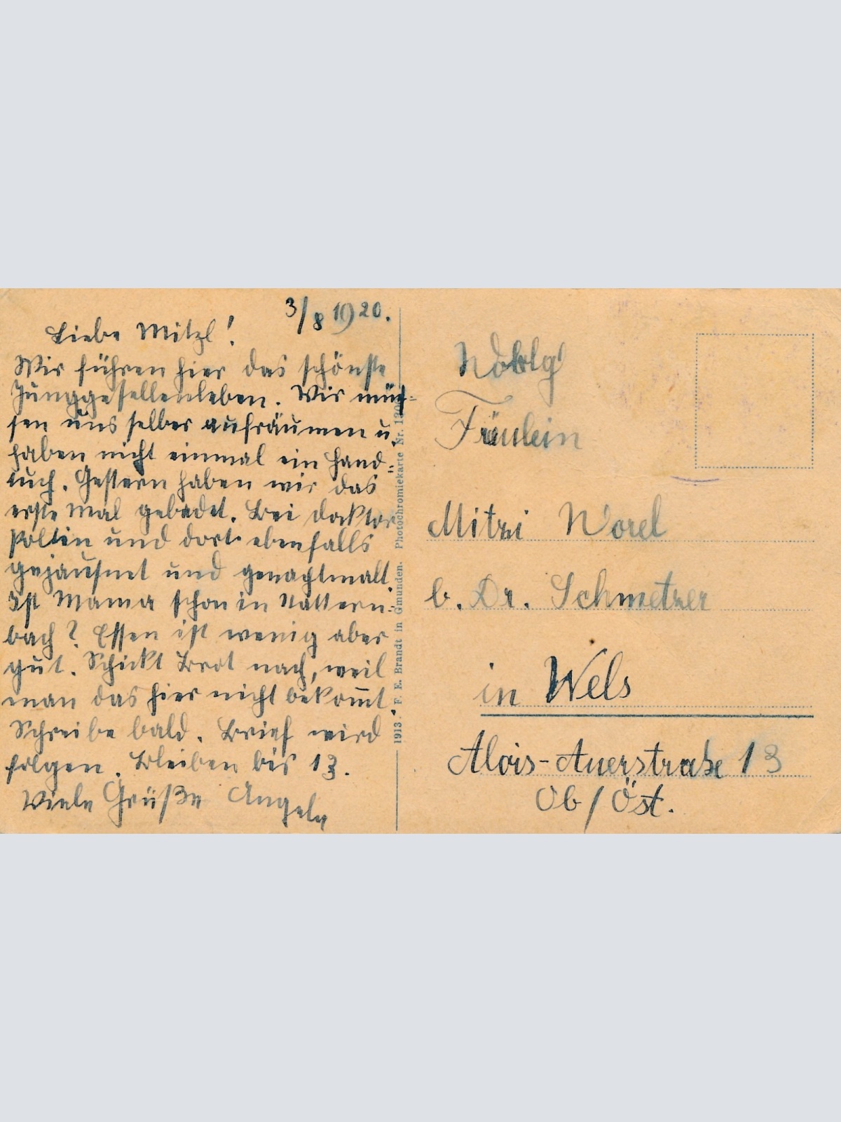 AK vom Attersee aus der Vogelschau Oberösterreich Ansichtskarte (15515)