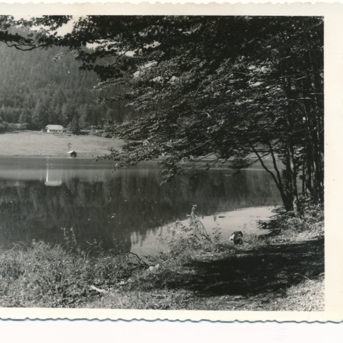 AK vom Laudachsee Oberösterreich Ansichtskarte (15549)