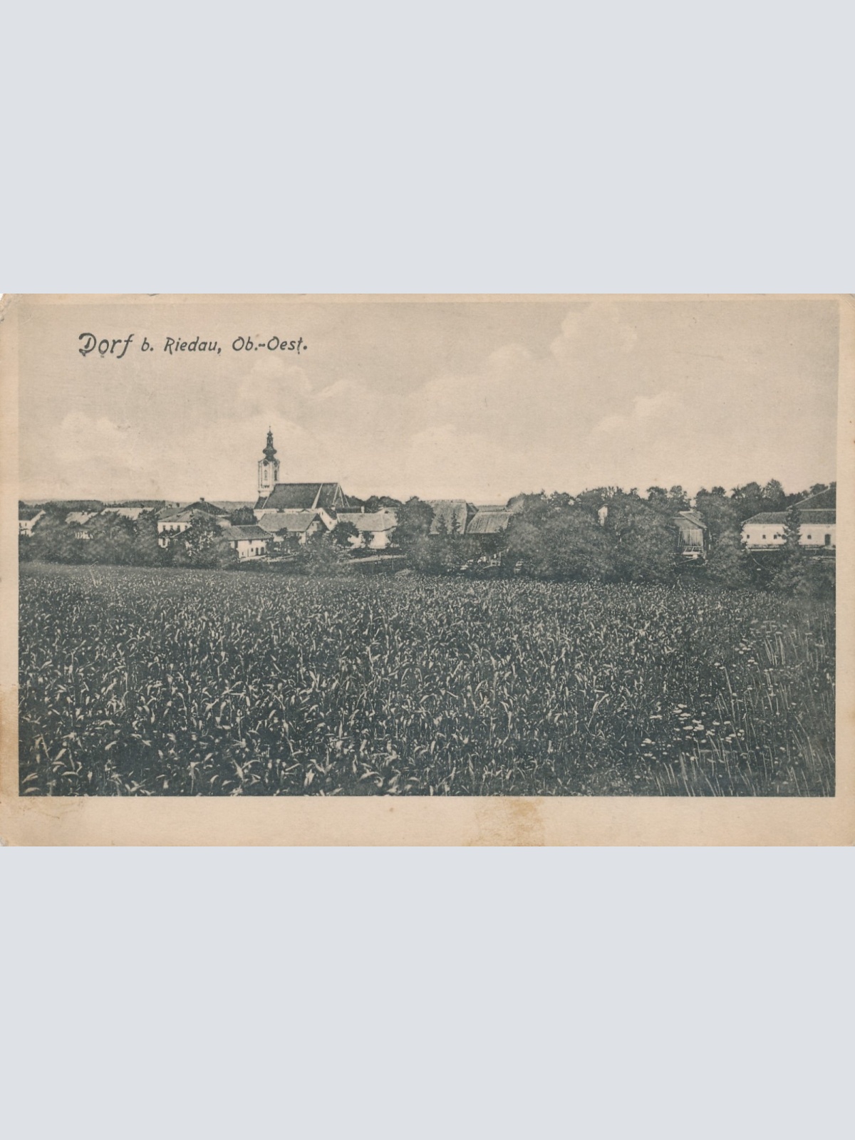 AK aus Dorf bei Riedau Oberösterreich (16346)