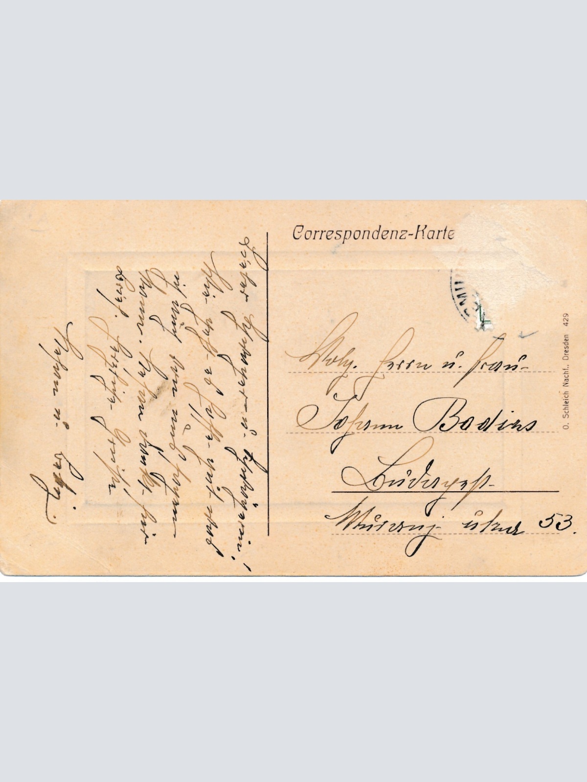 AK aus Gmunden vom Stadtpark Oberösterreich Ansichtskarte (16606)