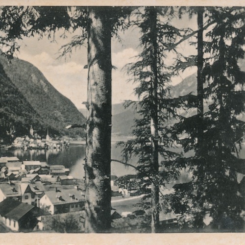AK aus Hallstatt Oberösterreich Ansichtskarte (16787)