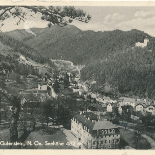 AK aus Gutenstein Niederösterreich Ansichtskarte (16809)