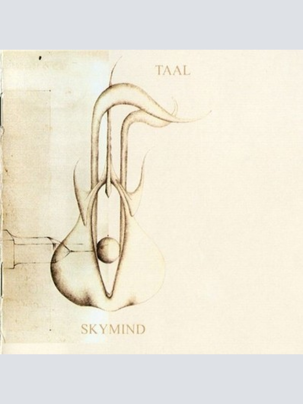 CD, Album Taal - Skymind