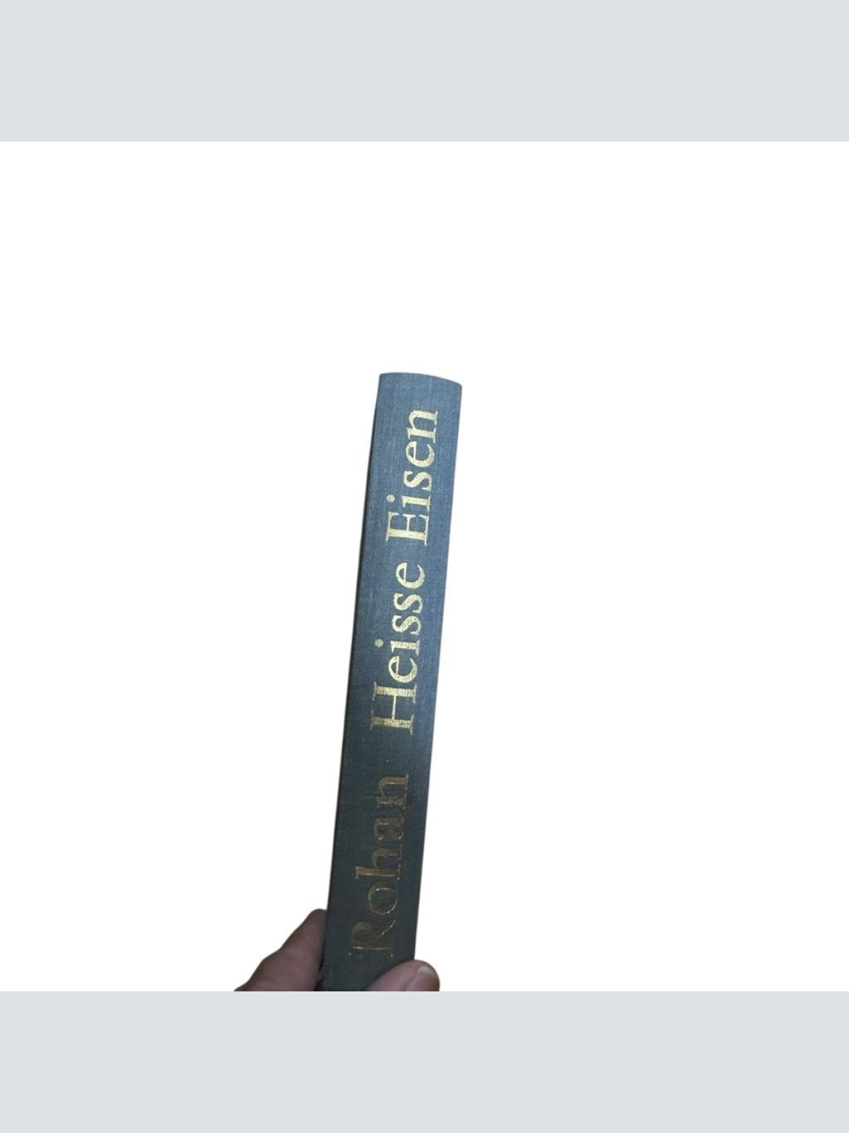 Heisse Eisen : Deutschland, Europa, der Westen Karl Anton Prinz Rohan Rohan, Kar