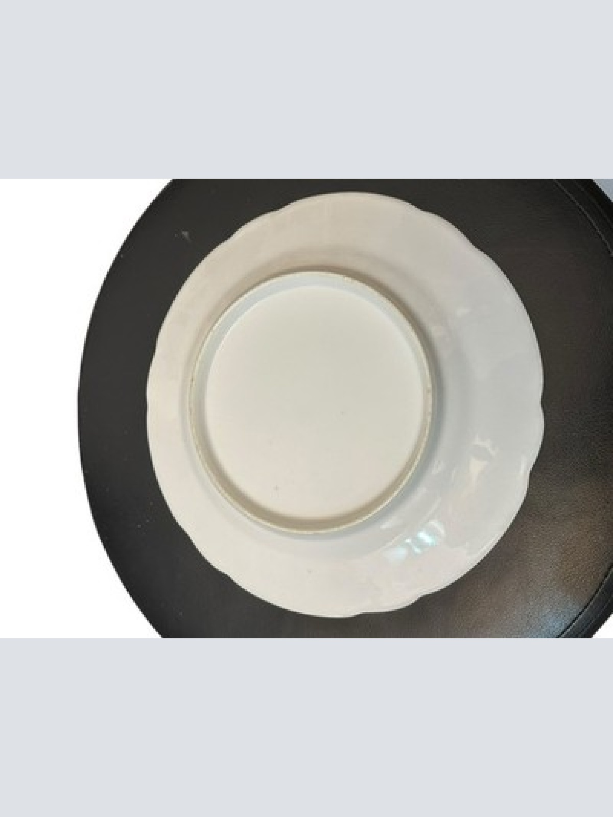 Antiker Speiseteller Teller Carl Tielsch Altwasser Schlesien 24 cm um 1900