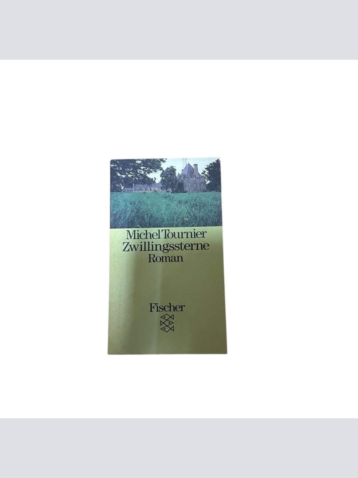 Zwillingssterne: Roman Roman Michel Tournier und Helmut Waller: