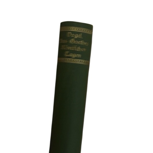 Aus Goethes römischen Tagen : Kultur- u. kunstgeschichtliche Studien z. Lebensge