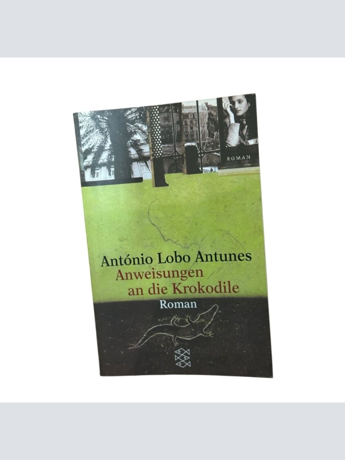 Anweisungen an die Krokodile: Roman: Roman. Aus d. Portugies. v. Maralde Meyer-M