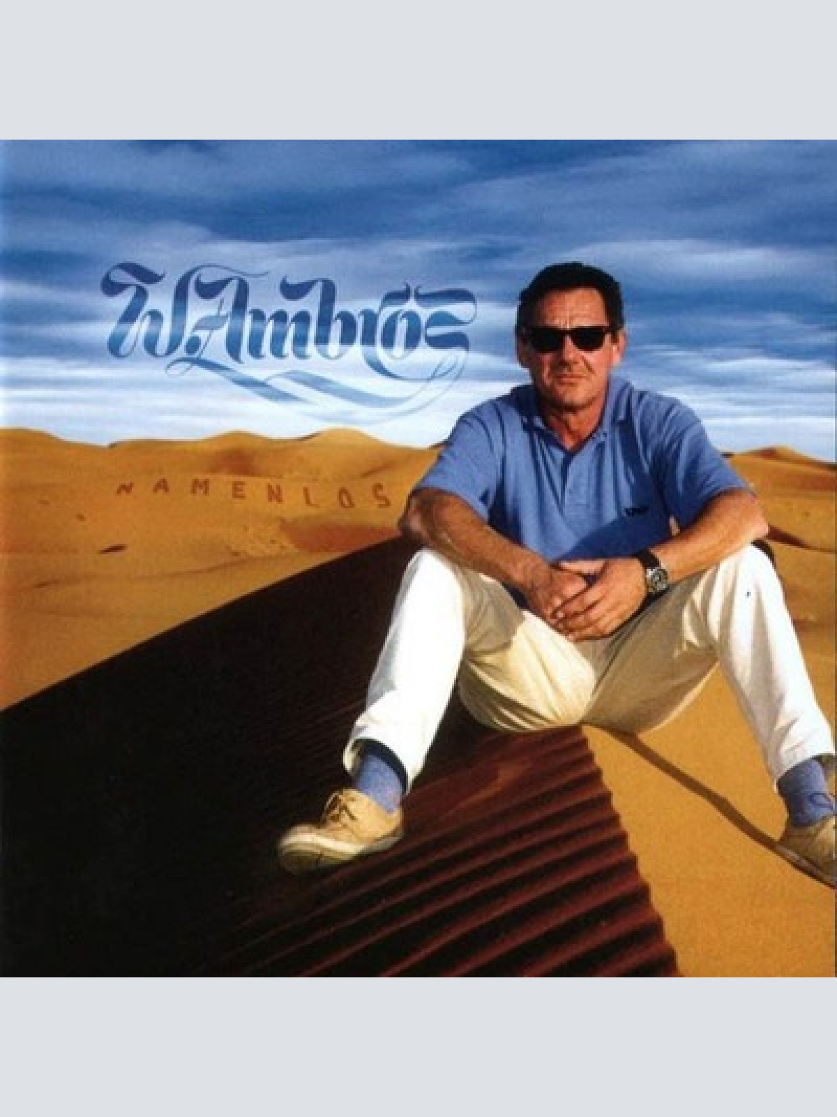 CD, Album W.Ambros* - Namenlos