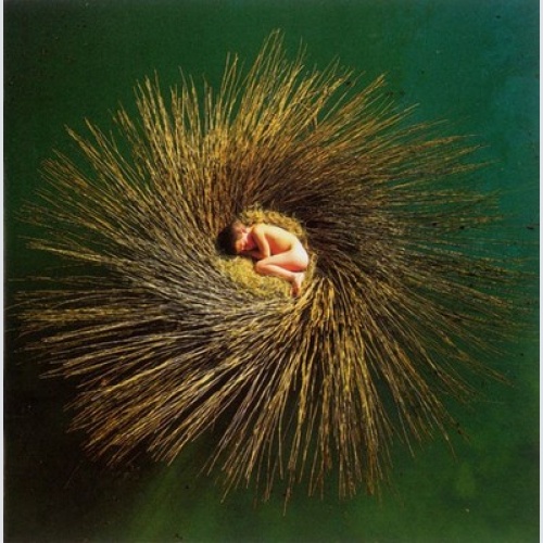 CD, Album, Enh Peter Gabriel - OVO