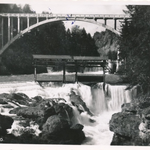 AK vom Traunfall Oberösterreich Ansichtskarte (17123)