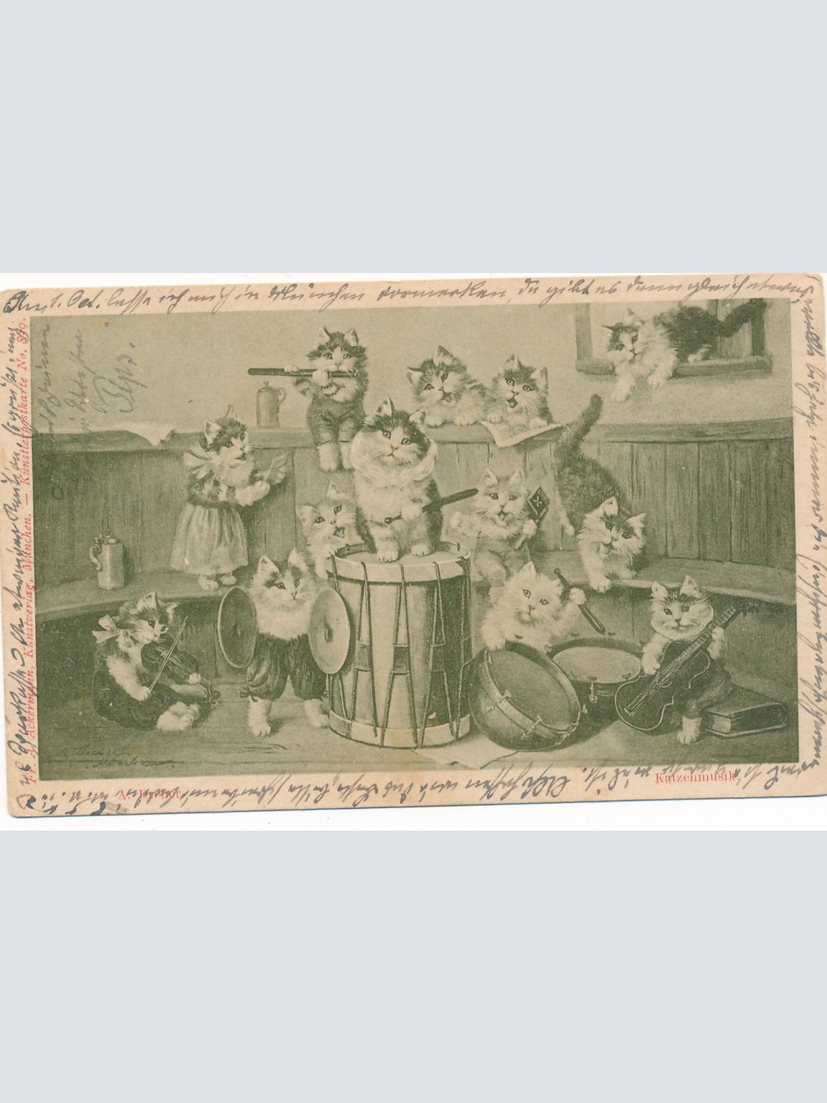 AK Katzenkonzert Katzen mit Instrumenten Ansichtskarte (16930)