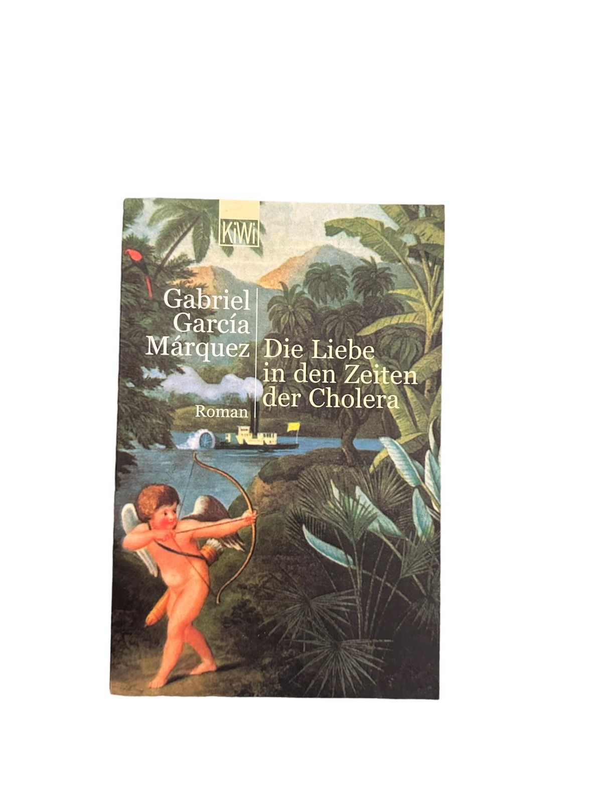 7181 Gabriel García Márquez DIE LIEBE IN DEN ZEITEN DER CHOLERA: ROMAN.