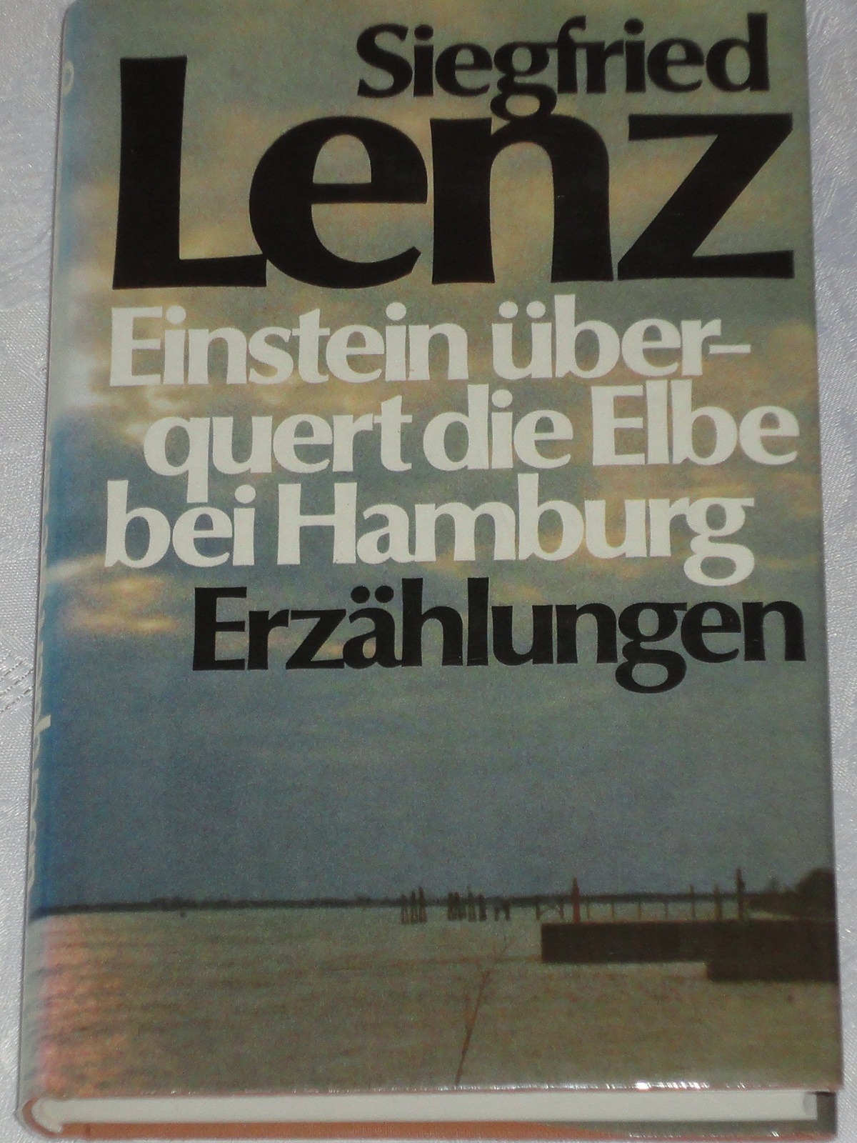 Einstein überquert die Elbe bei Hamburg - Erzählungen
