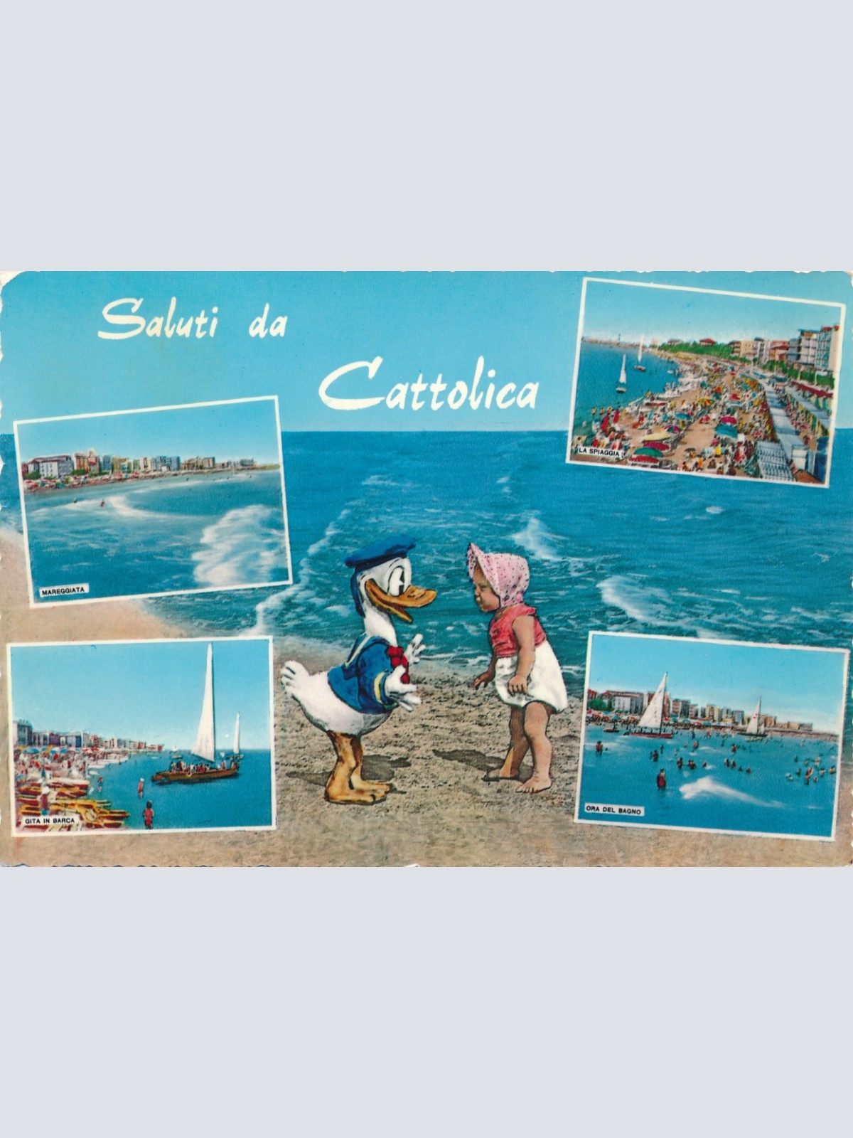 AK Saluti da Cattolica mit Donald Duck Italien Ansichtskarte (17093)