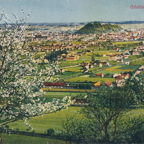 AK aus Gösting mit Graz Steiermark Ansichtskarte (17273)