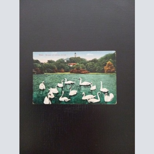 Greiz Parksee Mit Schwänen 410402 Gr