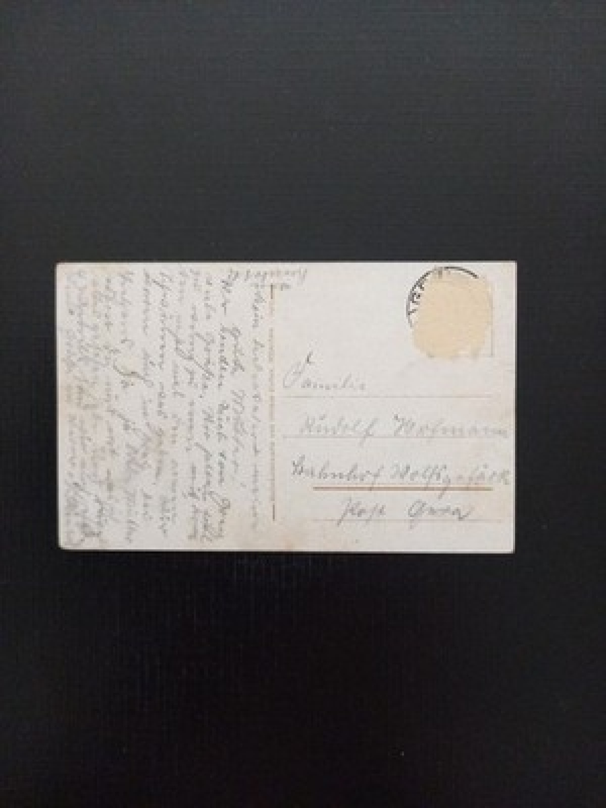 Greiz Parksee Mit Schwänen 410402 Gr