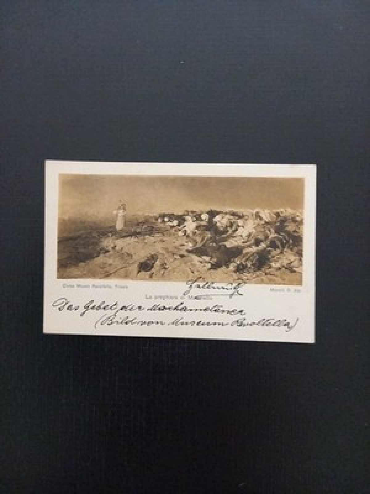 Civico Museo Revoltella Triest Italien 500151 Gr