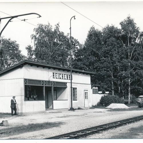 AK von der Station Reichenau Bahnhof Ansichtskarte (18144)