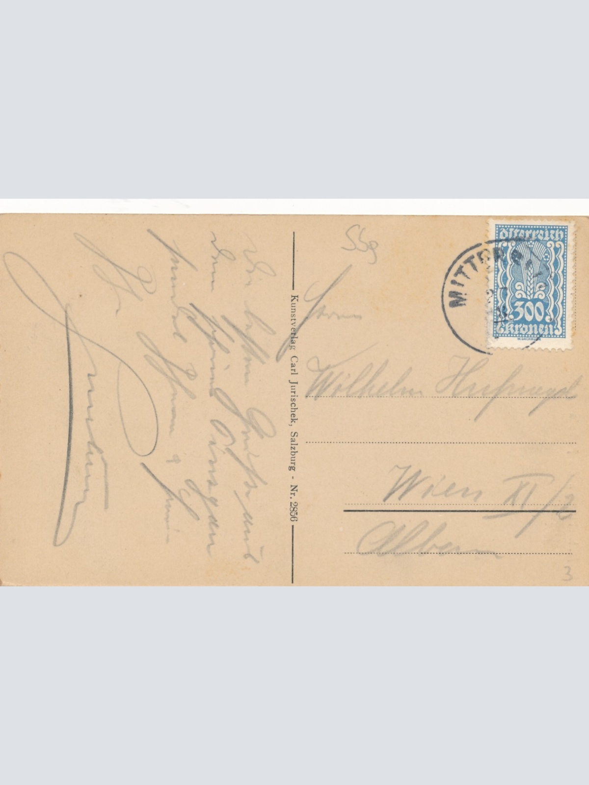 AK aus Mittersil Salzburg Ansichtskarte (18054)