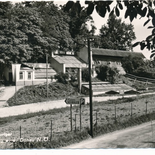 AK aus Hollenburg an der Doanu Niederösterreich Ansichtskarte (18196)