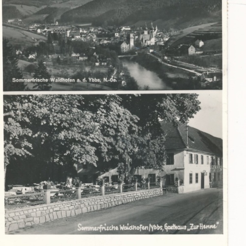 AK aus Waidhofen an der Ybbs Gasthaus Henne Niederösterreich (18197)