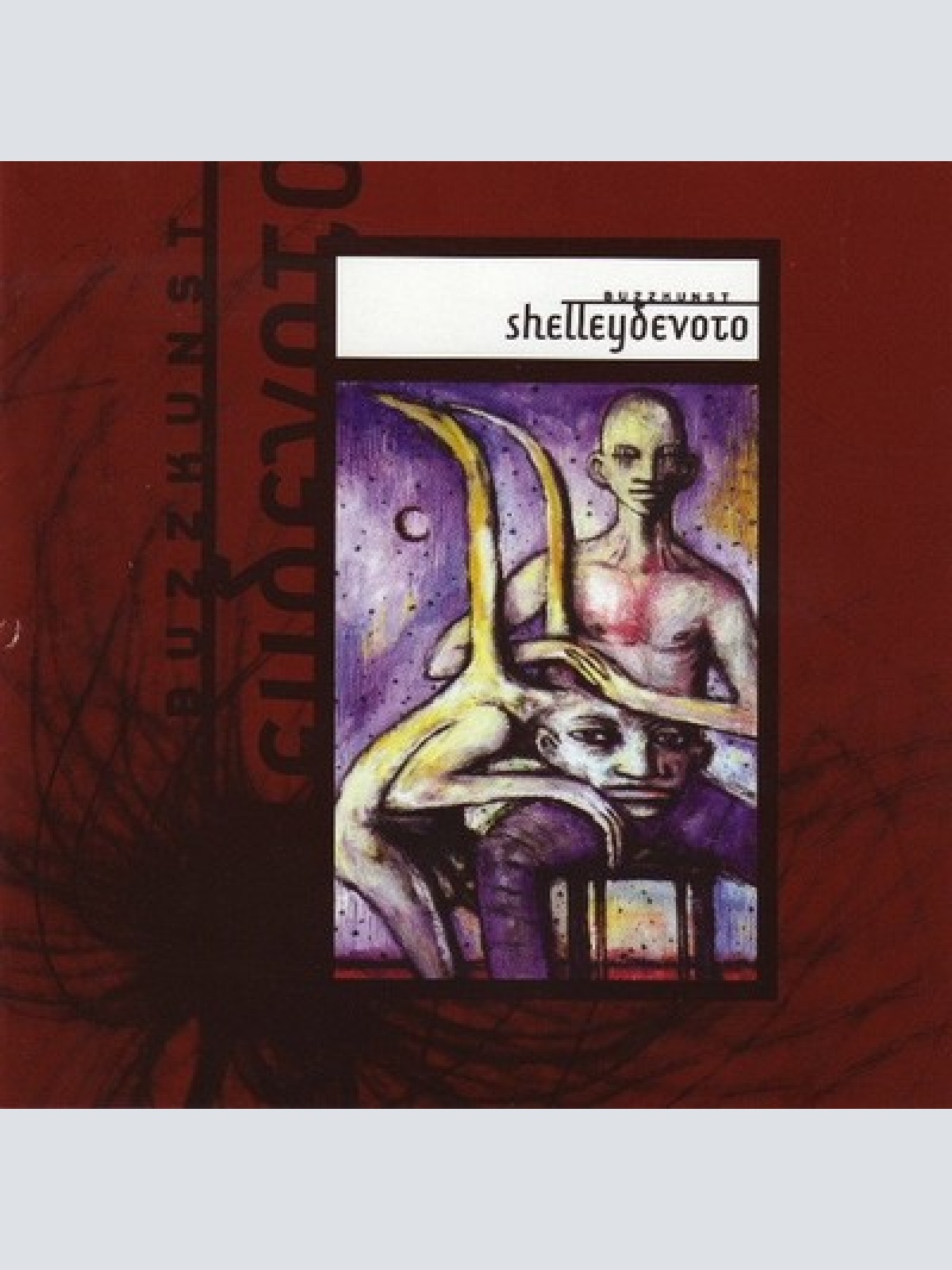 CD, Album, Enh ShelleyDevoto - Buzzkunst