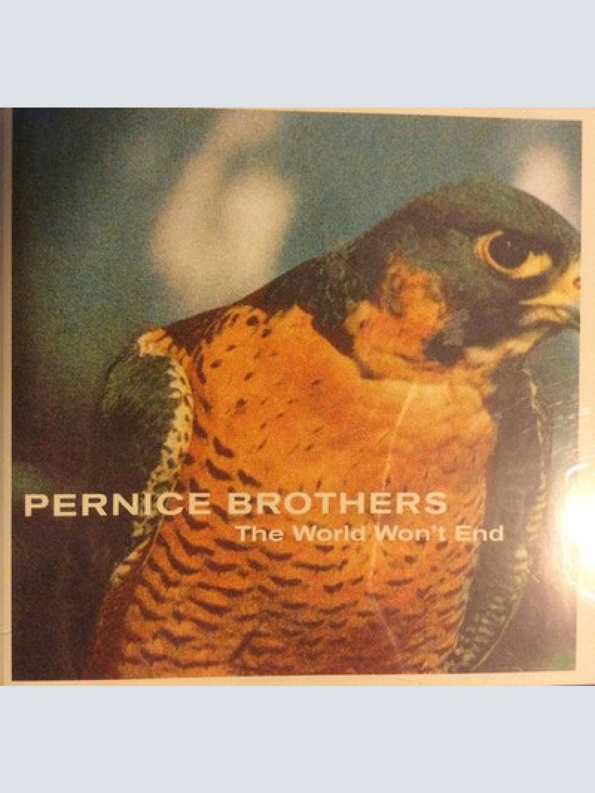 CD, Album Pernice Brothers - The World Won't End