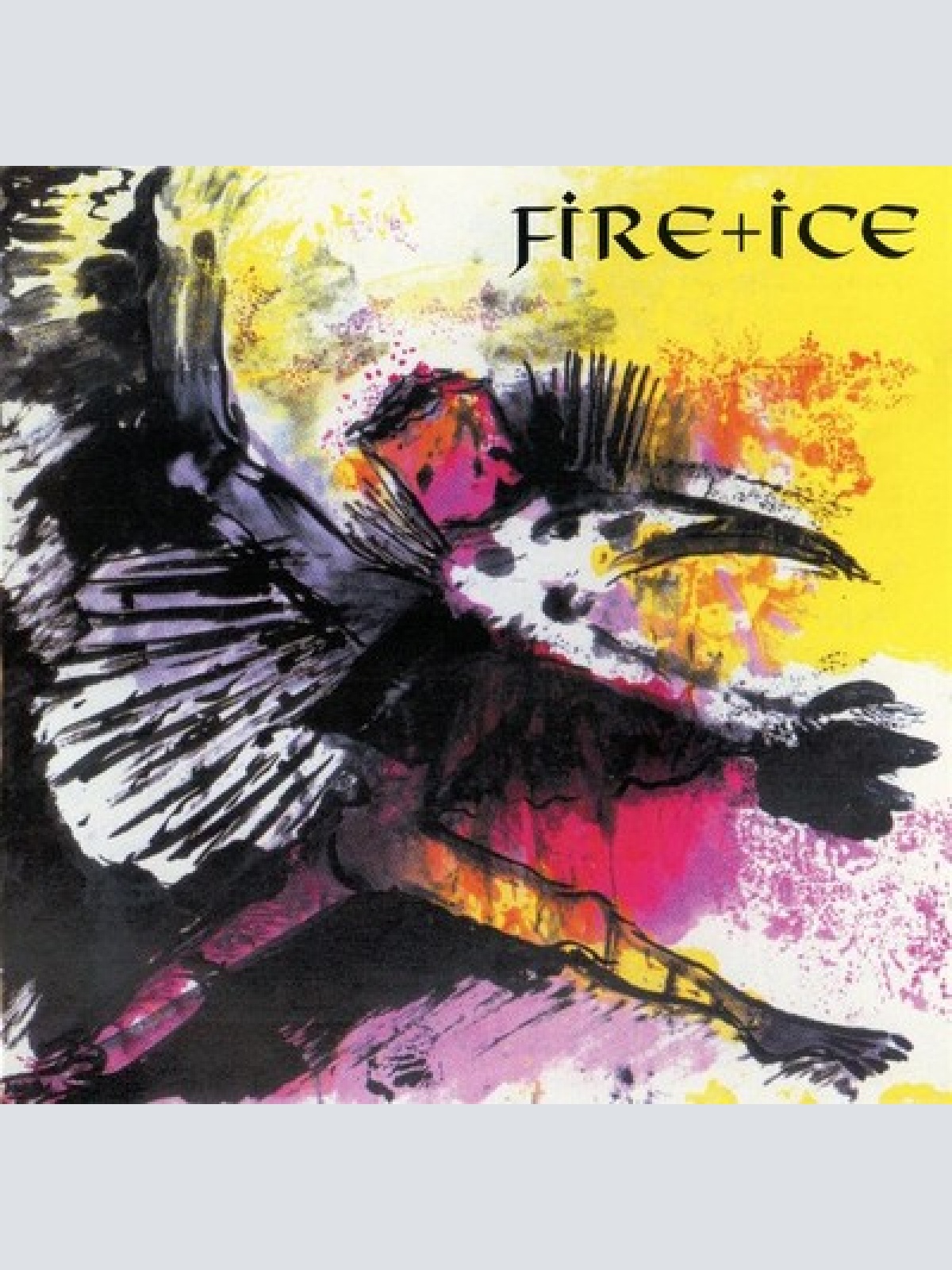 CD, Album Fire + Ice - Birdking