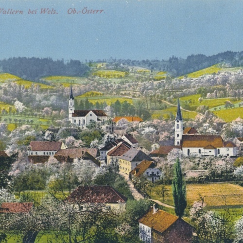 AK aus Wallern bei Wels Oberösterreich Ansichtskarte (18293)