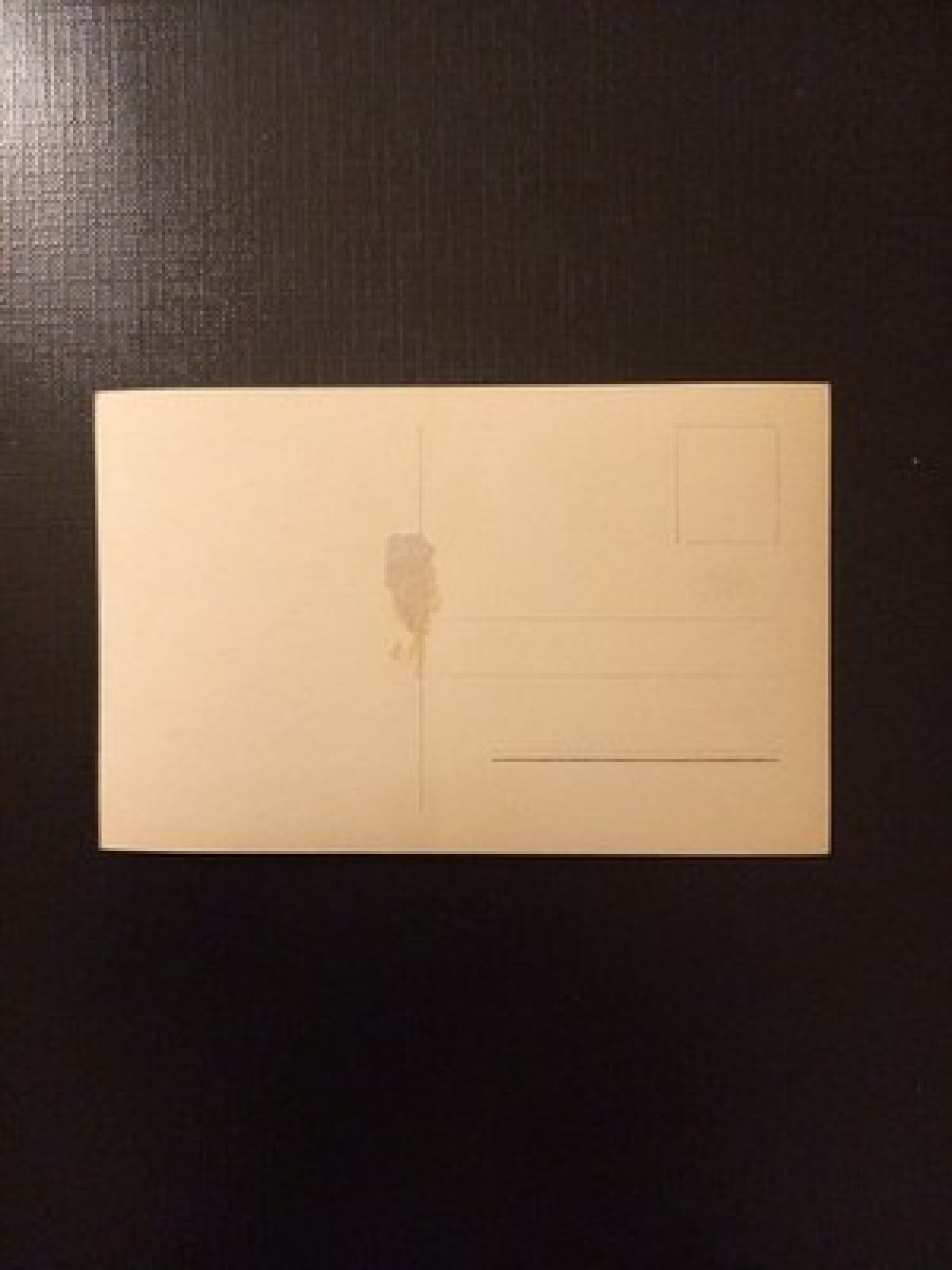 Lilien Harvey Willy Fritsch Porträt Autogramm AB0065 Gr