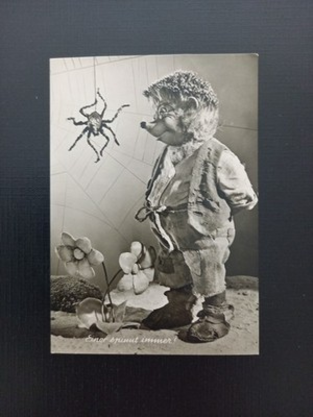 Mecki Einer Spinnt Immer Gebrüder Diehl AB0084