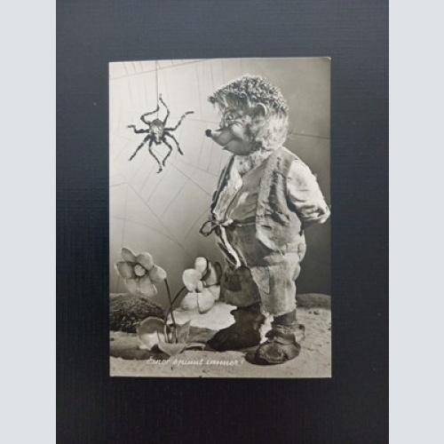 Mecki Einer Spinnt Immer Gebrüder Diehl AB0084