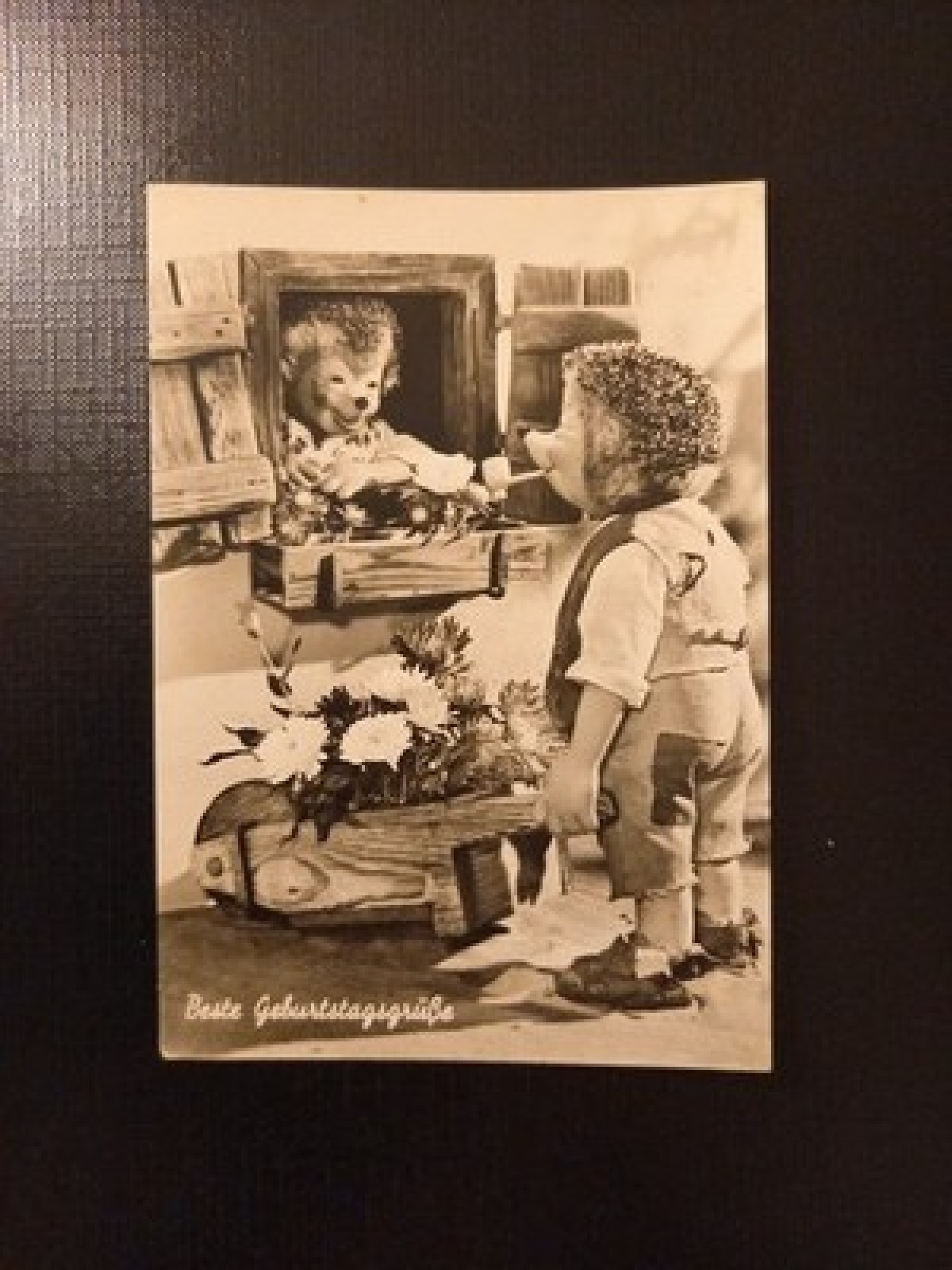 Diejl 2 Igel Beste Geburtstagsgrüße 400600 Gr