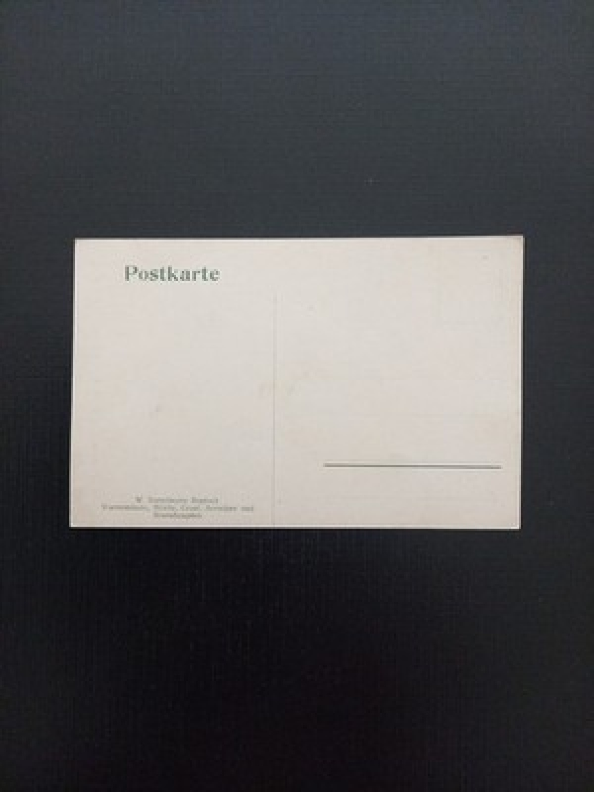 Nordische Pinie A D Wiedort Wiese Gr