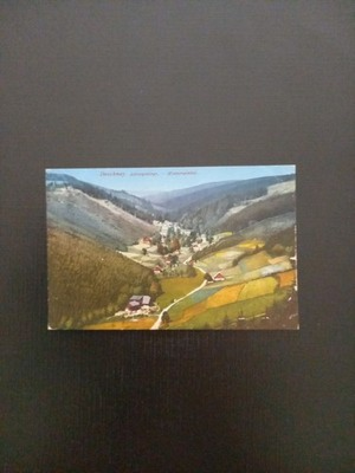 Designer Adlergebirge Hinterwinkel Gr