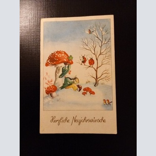 Herzliche Neujahrsgrüße Fliegenpilz Marienkäfer Zwerg Gr