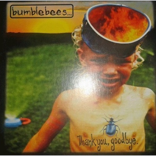 CD, Album Bumblebees (4) - Thank You Goodbye