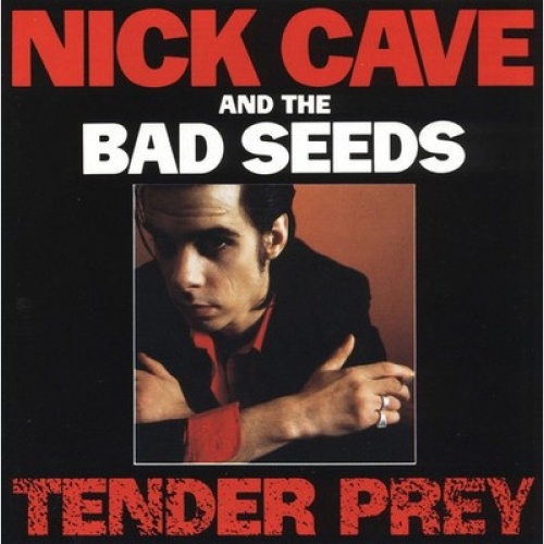CD, Album, RE Nick Cave And The Bad Seeds* - Tender Prey