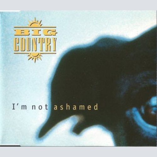 CD, Single Big Country - I'm Not Ashamed