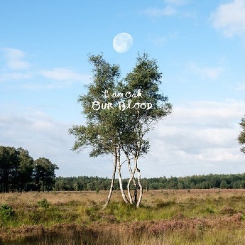 CD, Album I Am Oak - Our Blood